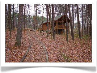 cabin in wooded area with fall leaves on ground