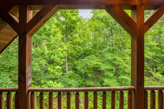 Wooded views from the deck — Timber Ridge Lodge